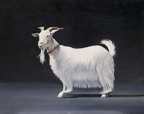 The Goat oil painting by Pat Baker