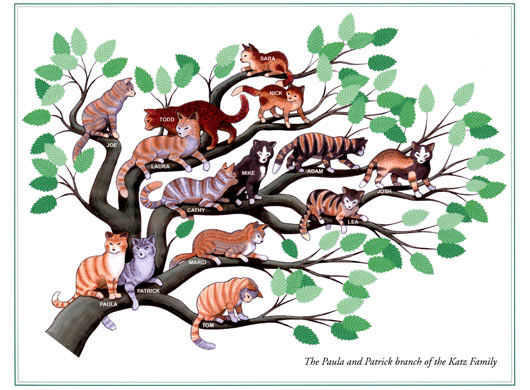 Katz branch closeup