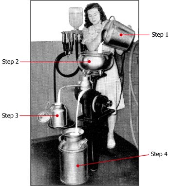 Our Process: Pure Cream of Genius